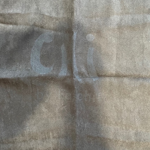 New Chi by Falchi Dustbag - Picture 2 of 2